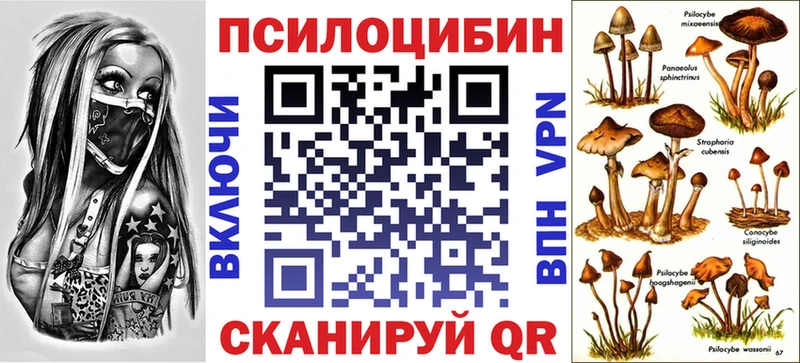 Галлюциногенные грибы Psilocybe  Сосногорск 